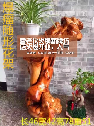 体育数据分析
